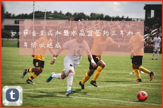 萨吉正式加盟水晶宫签约三年加一年协议达成